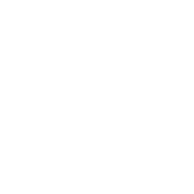 Perplexity Logo
